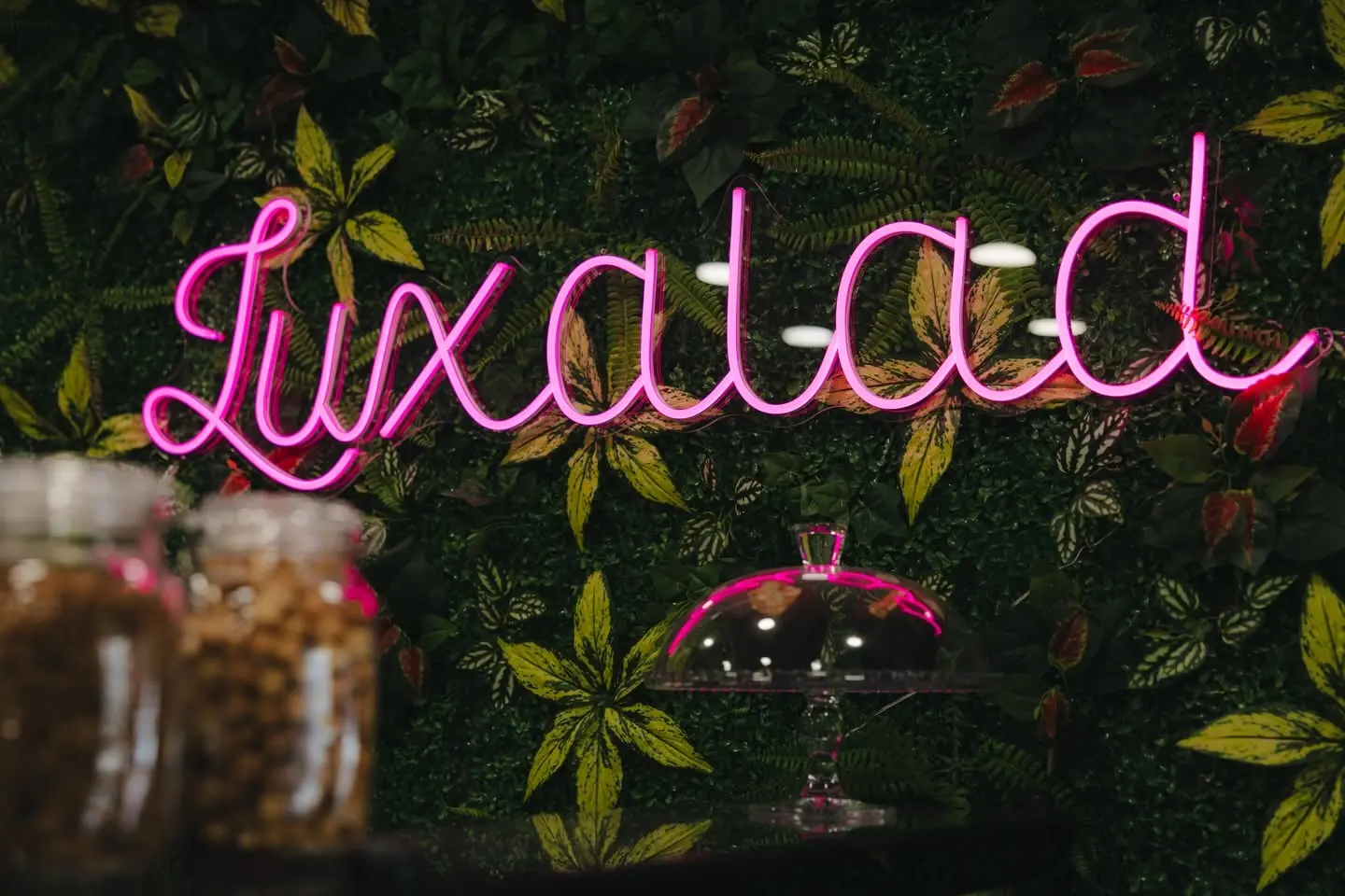 The Luxalad neon script on a wall of dense foliage